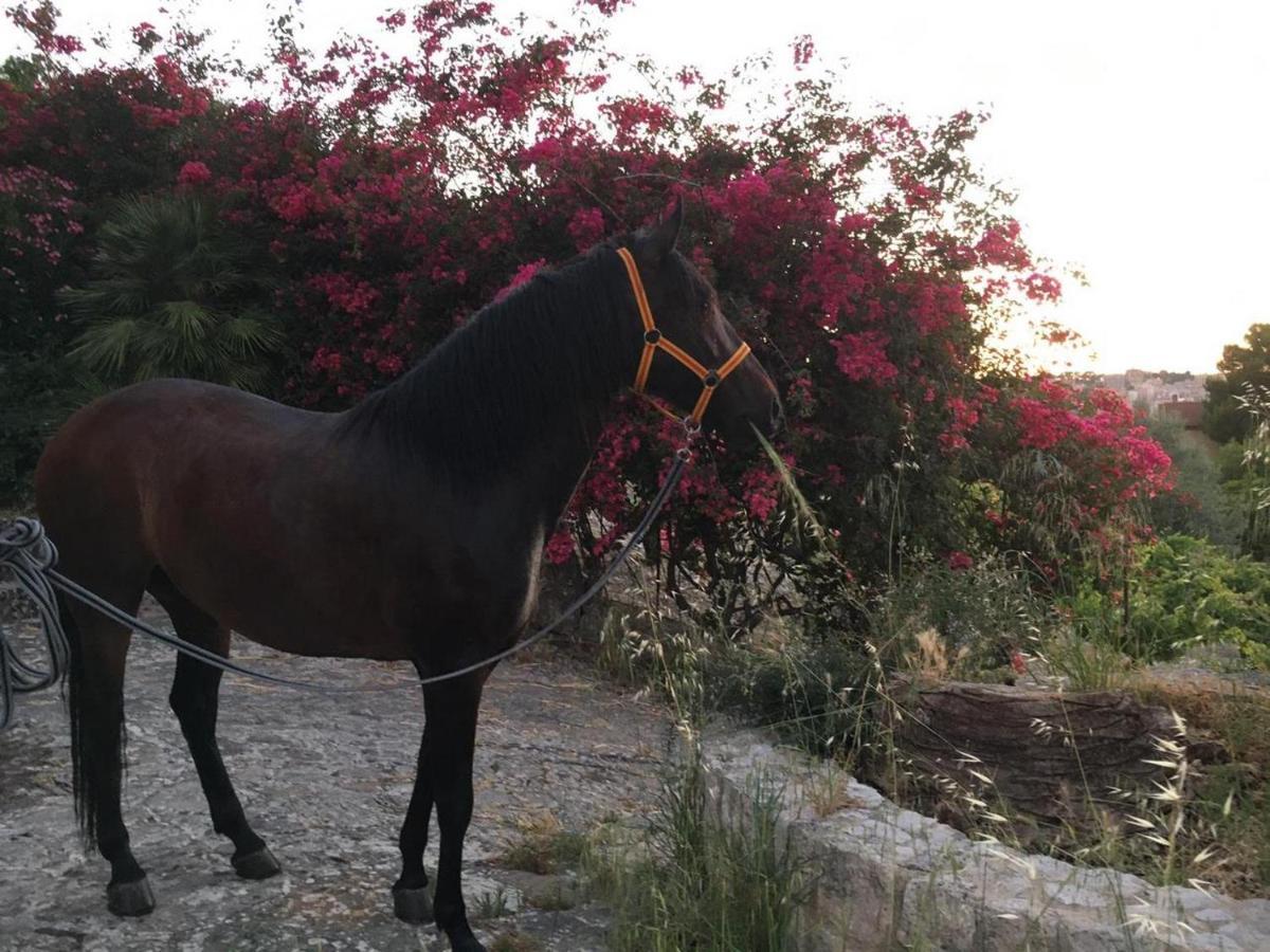 פאבארה Country Sicily Home מראה חיצוני תמונה